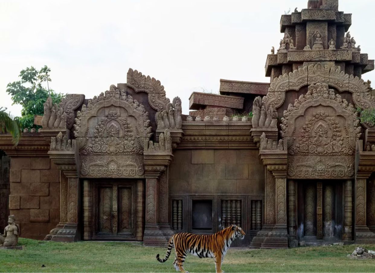 Generan nuevas estrategias ante la ola de calor en Miami