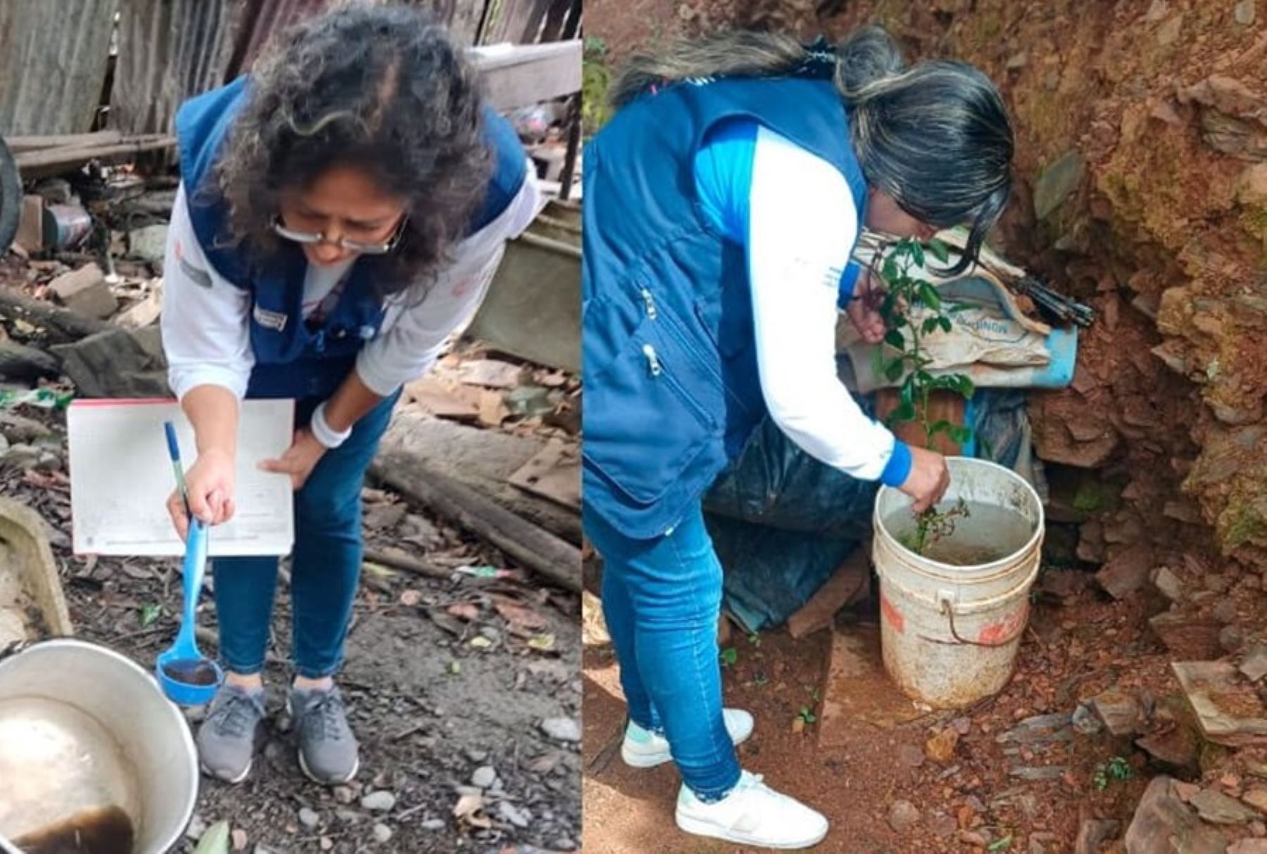 Intervendrán 9,000 viviendas en Cusco para prevenir el dengue