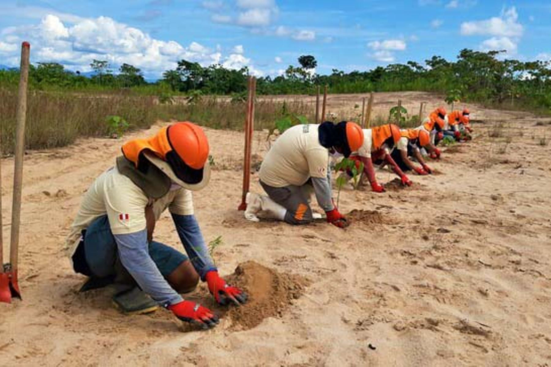Minam recupera áreas degradadas y fortalece medidas nacionales ante el cambio climático