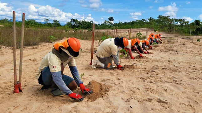 Ministerio del Ambiente fortalece medidas nacionales frente al cambio climático