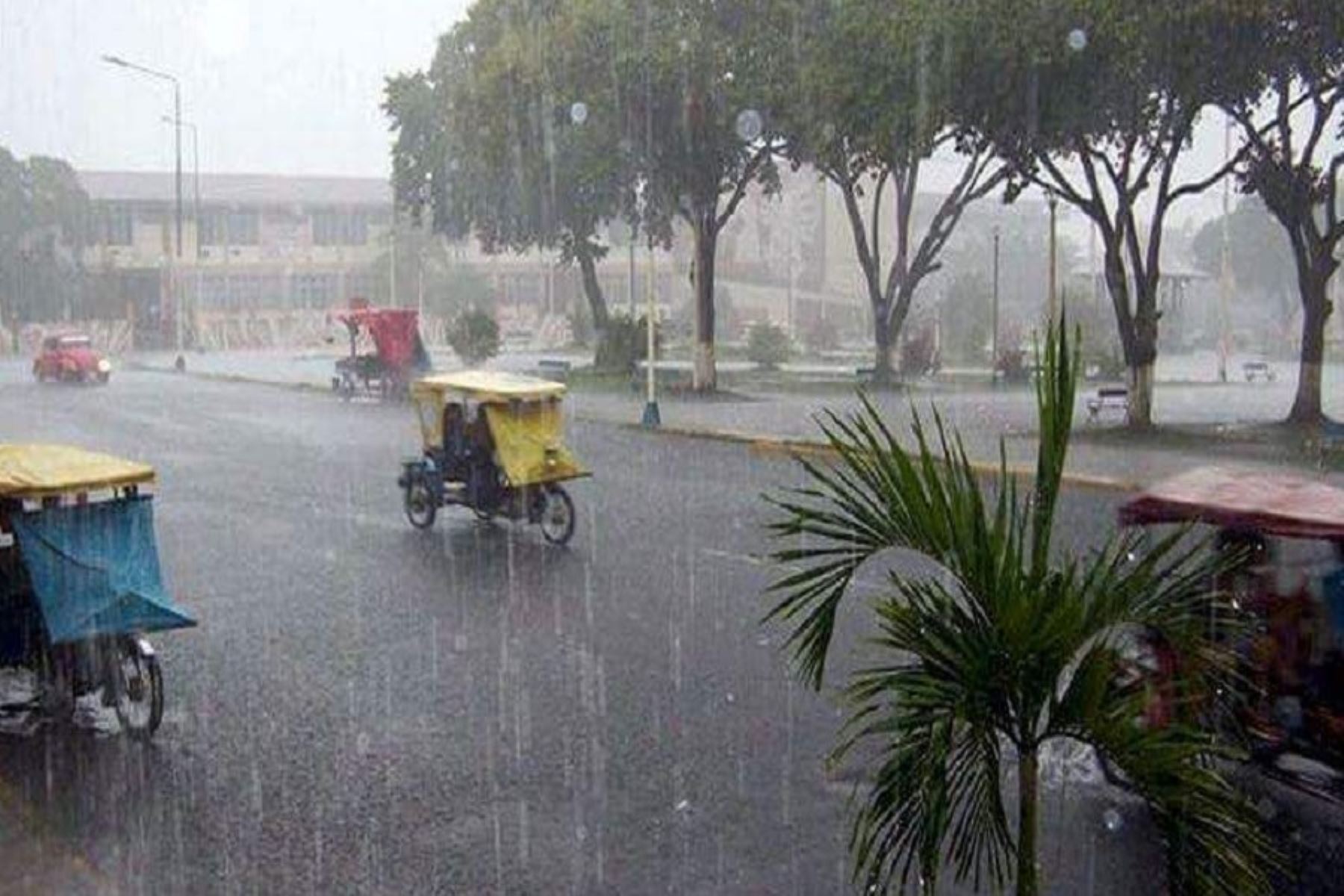 Lluvias intensas en la selva desde hoy hasta el martes 13