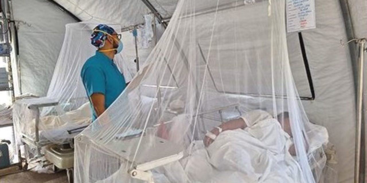 Más de 300 pacientes recuperados del dengue en el Hospital de VS