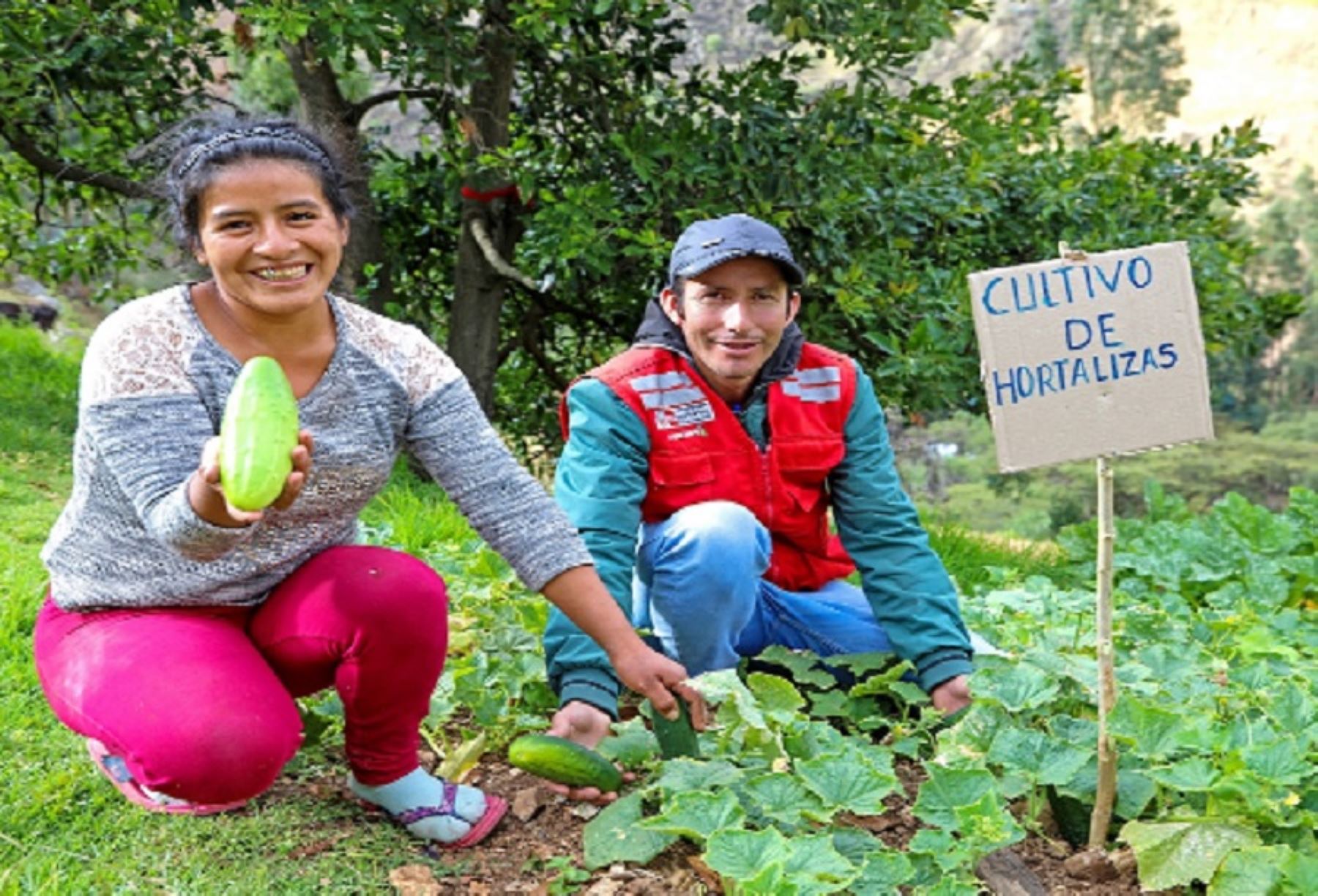 Midis invertirá S/7,2 millones en emprendimientos rurales