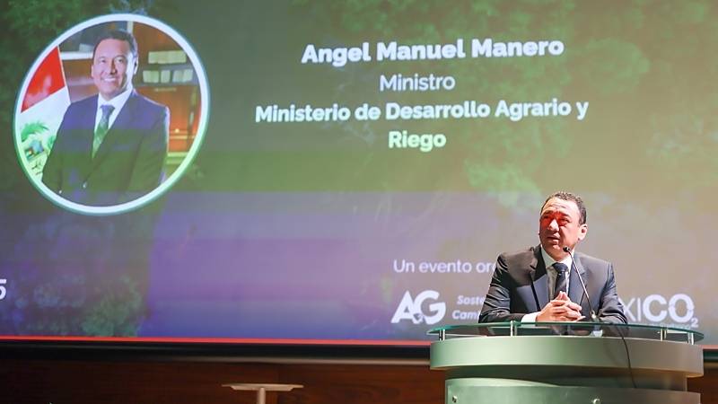 Perú apuesta por frenar la deforestación y escala los bonos de carbono