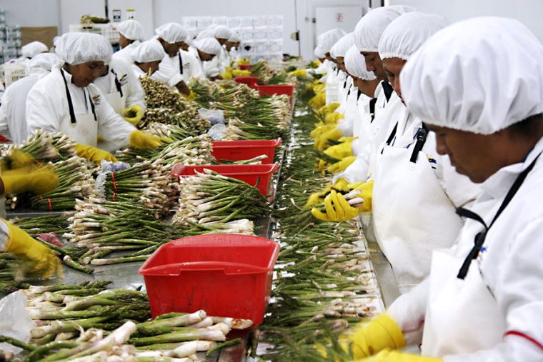 Exportaciones regionales impulsan el empleo y baten récord