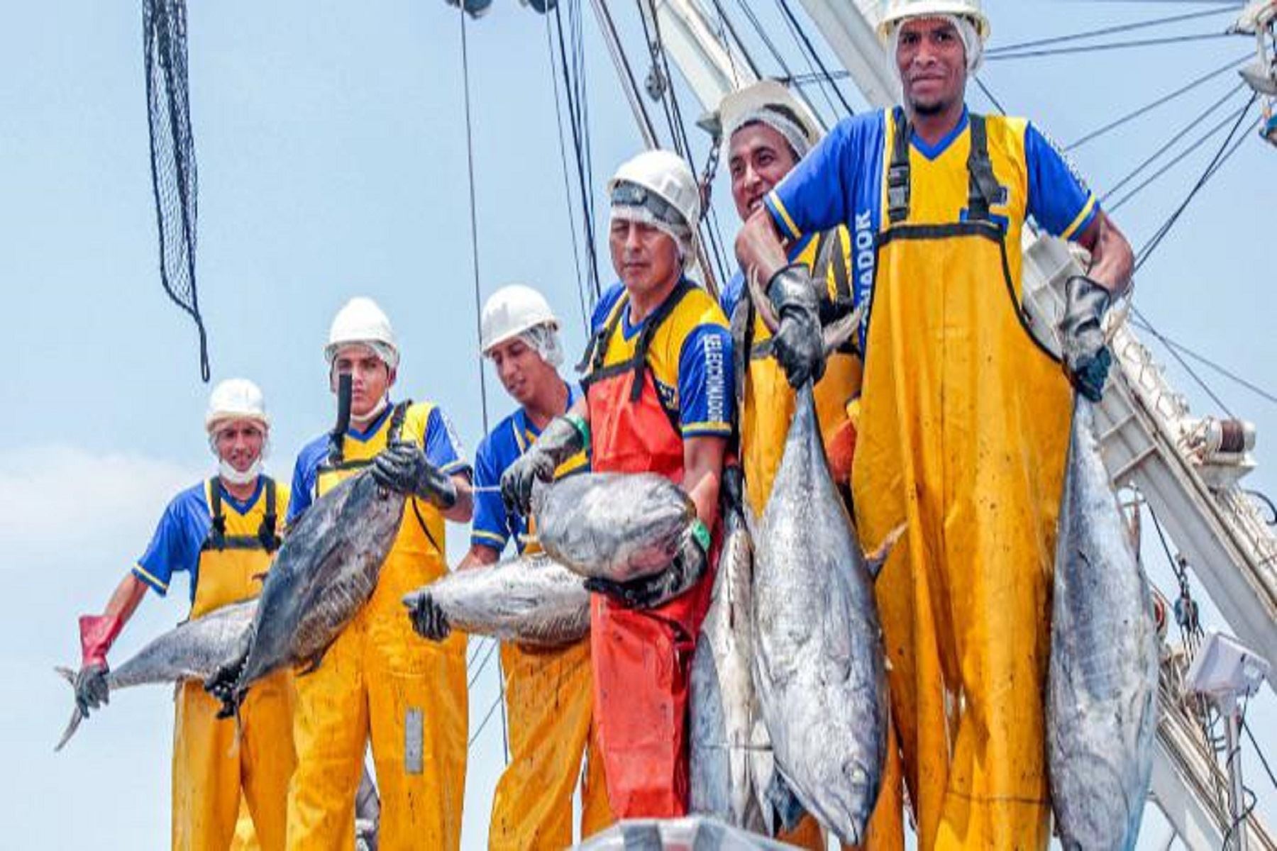 Pesca genera 400,000 empleos directos y exporta US$ 3,600 millones